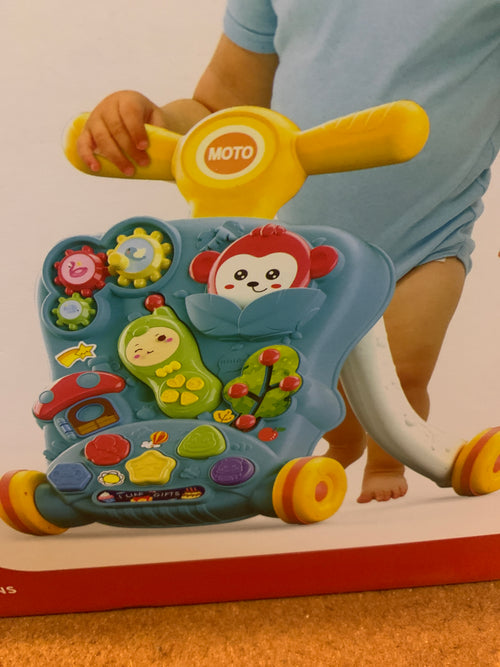 Baby Puzzle Activity Walker